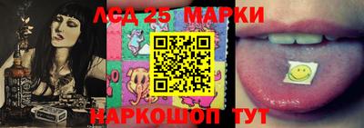 мдпв Кингисепп