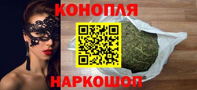 мдпв Кингисепп