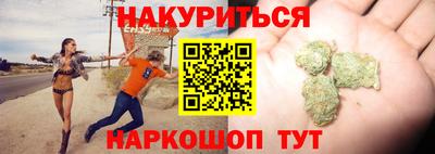мдпв Кингисепп