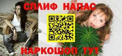 мдпв Кингисепп