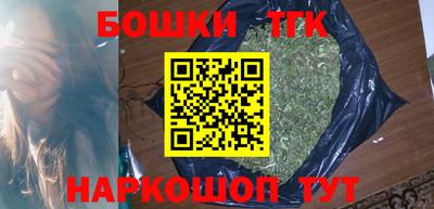 мдпв Кингисепп
