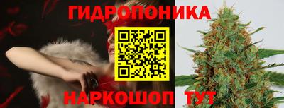 мдпв Кингисепп
