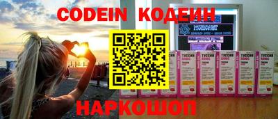 мдпв Кингисепп