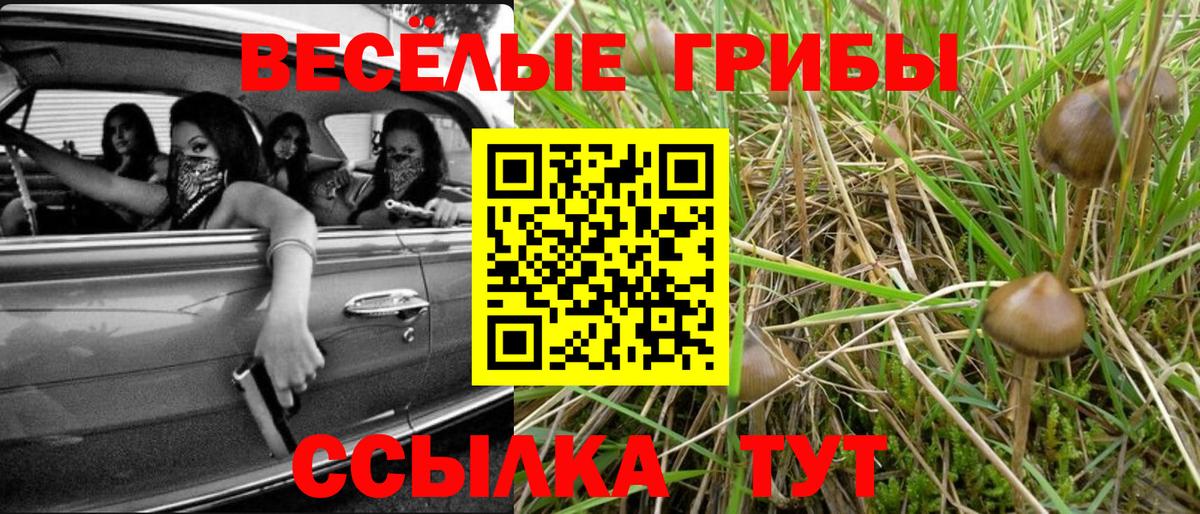 Галлюциногенные грибы ЛСД  Псилоцибиновые грибы Psilocybine cubensis  Уварово  Вход с VPN 