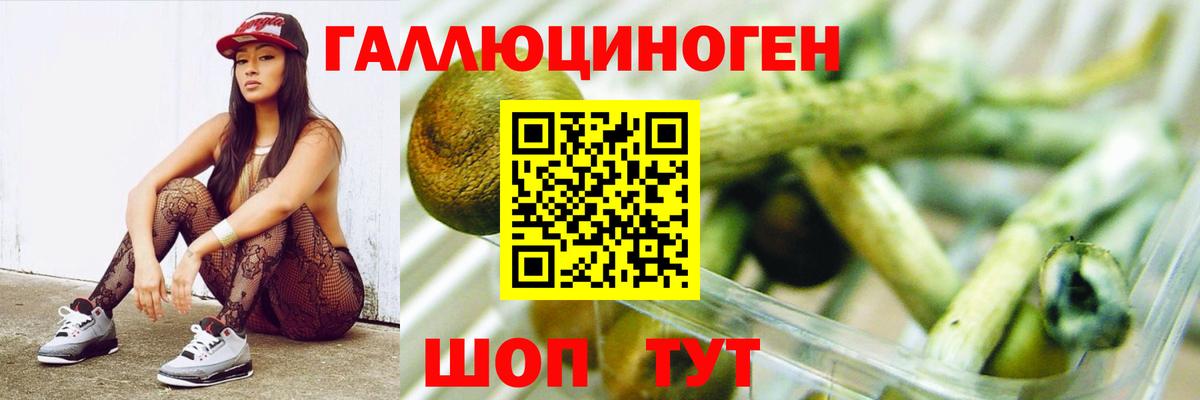 Псилоцибиновые грибы Cubensis Уварово